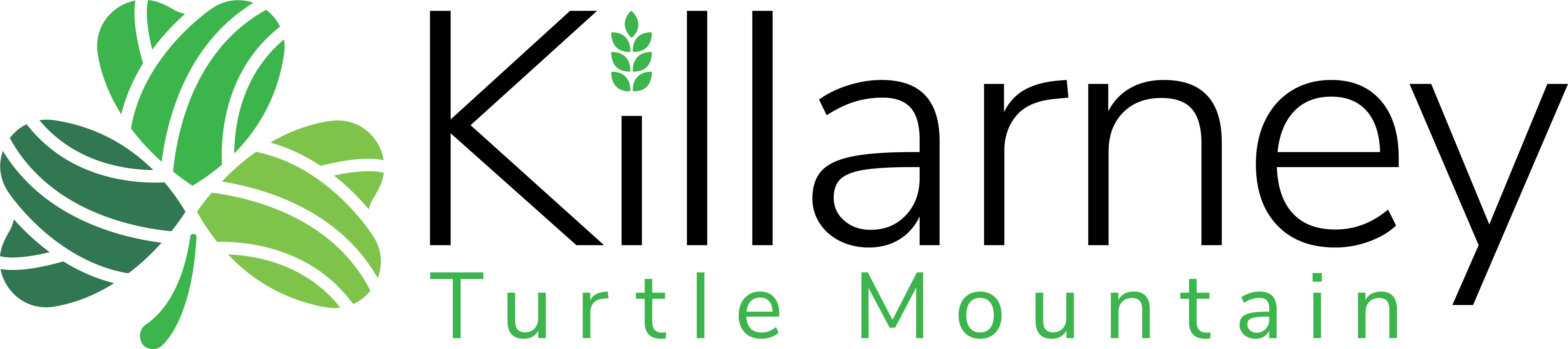 Municipality of Killarney-Turtle Mountain